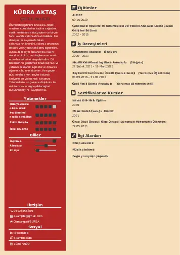 Çocuk Bakıcısı CV Örnekleri cv indir